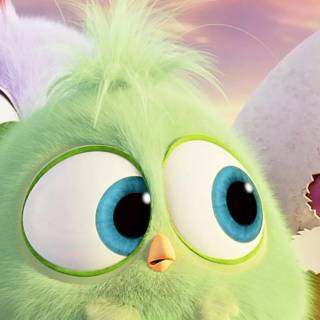 Angry Birds funny wallpaper