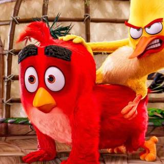 Angry Birds funny wallpaper