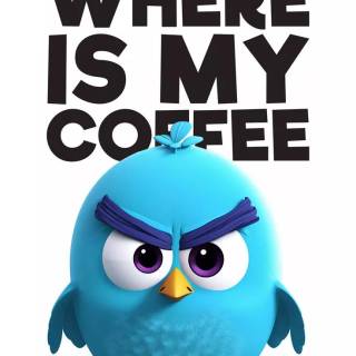 Angry Birds funny wallpaper