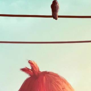 Angry Birds funny wallpaper