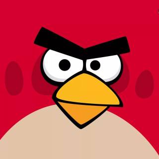Angry Birds funny wallpaper