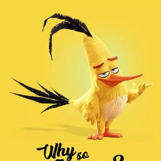 Angry Birds funny wallpaper