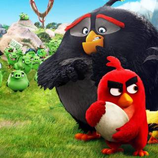 Angry Birds funny wallpaper