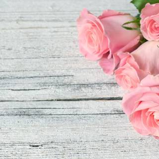 2560x1440 rose wallpaper