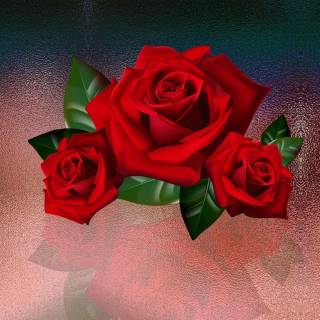 2560x1440 rose wallpaper