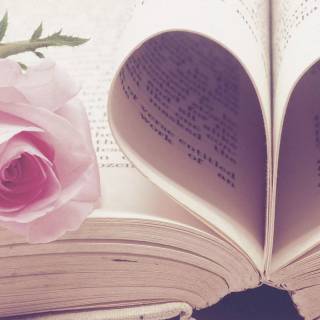 2560x1440 rose wallpaper