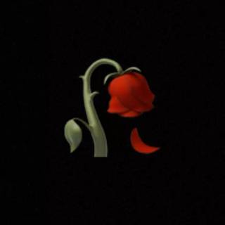 Rose iPhone Emoji wallpaper