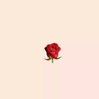 Rose iPhone Emoji wallpaper
