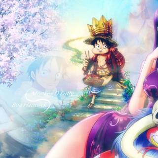 One Piece Luffy and Boa wallpaper