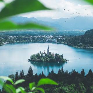 Bled iPhone wallpaper