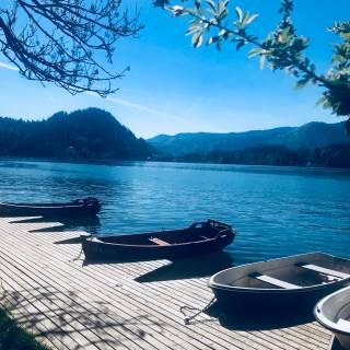 Bled iPhone wallpaper