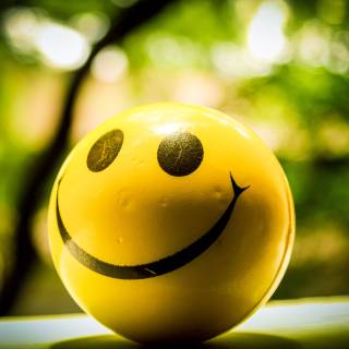 People memes wallpaper