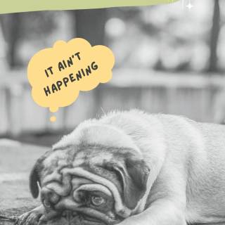 People memes wallpaper