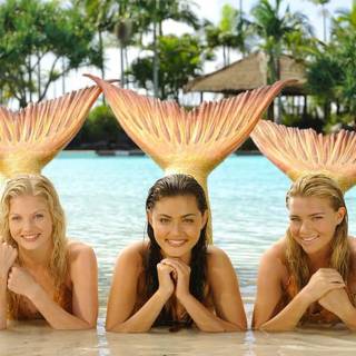 H20 mermaids wallpaper