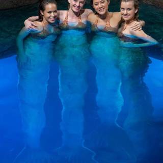 H20 mermaids wallpaper