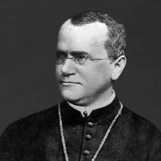 Gregor Mendel wallpaper