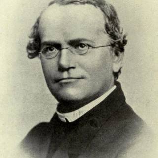Gregor Mendel wallpaper
