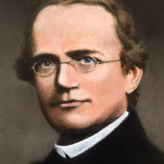 Gregor Mendel wallpaper