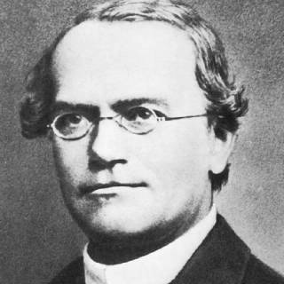 Gregor Mendel wallpaper