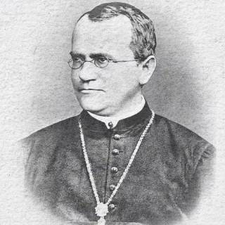 Gregor Mendel wallpaper