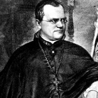 Gregor Mendel wallpaper