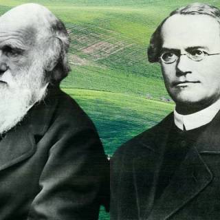Gregor Mendel wallpaper