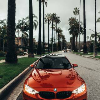 BMW portrait wallpaper