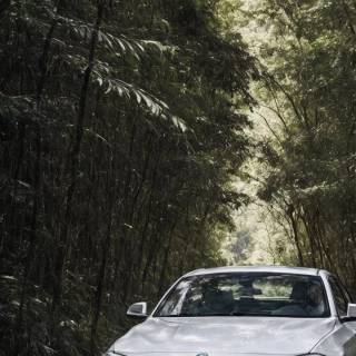 BMW portrait wallpaper