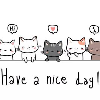 Cute cat laptop wallpaper