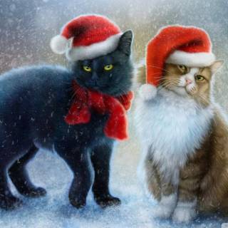 Cute cat laptop wallpaper