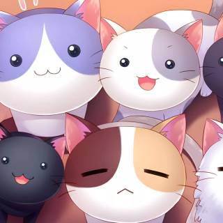 Cute cat laptop wallpaper