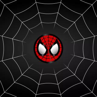 Spider-Man icon wallpaper