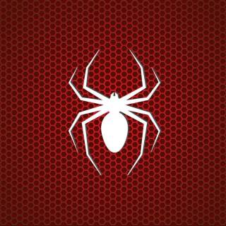 Spider-Man icon wallpaper