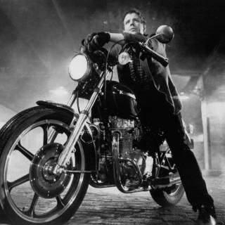 Rumble Fish wallpaper