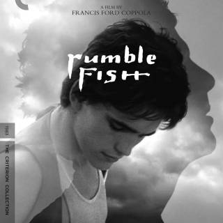 Rumble Fish wallpaper