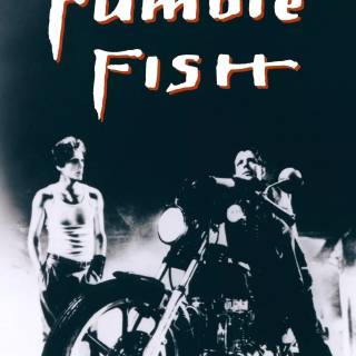 Rumble Fish wallpaper