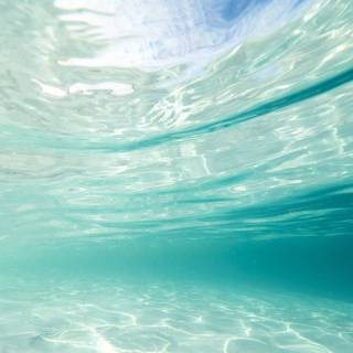 Underwater aesthetic wallpaper