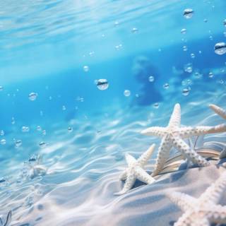 Underwater aesthetic wallpaper