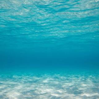 Underwater aesthetic wallpaper