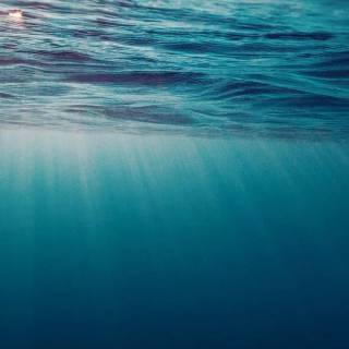Underwater aesthetic wallpaper