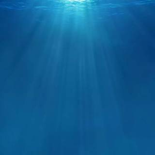 Underwater aesthetic wallpaper