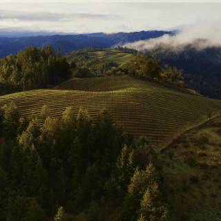 Samsung Odyssey G9 wallpaper