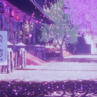 Purple Sakura wallpaper