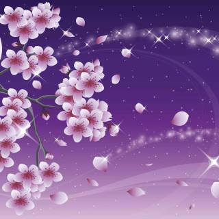 Purple Sakura wallpaper