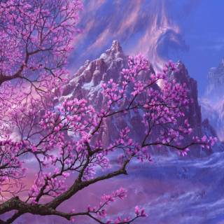 Purple Sakura wallpaper