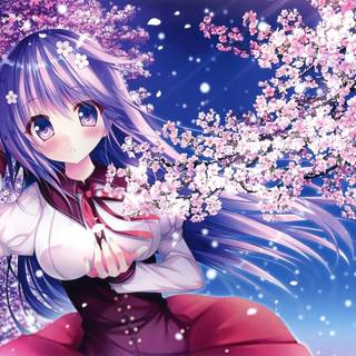 Purple Sakura wallpaper