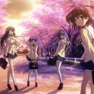 Tomoyo Sakagami wallpaper