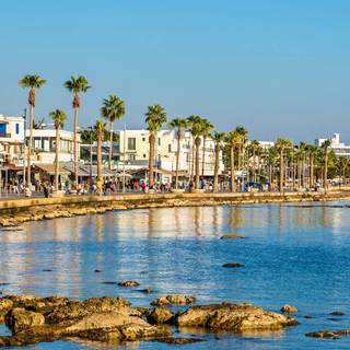 Paphos wallpaper