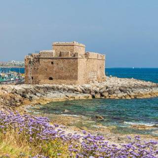 Paphos wallpaper
