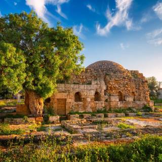 Paphos wallpaper